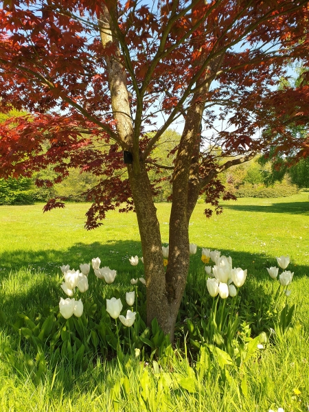 Treborth Botanic Garden, Bangor University